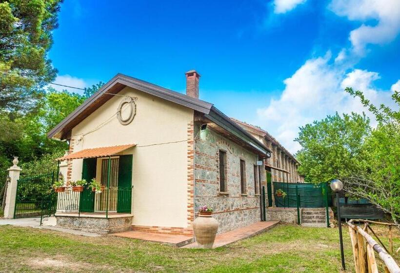 Номер Стандарт, Casale Trainaro