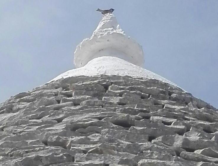 آپارتمان 1 خوابه با چشمانداز باغ, Borgo Trulli 1789