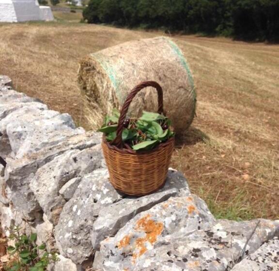 آپارتمان 1 خوابه با چشمانداز باغ, Borgo Trulli 1789