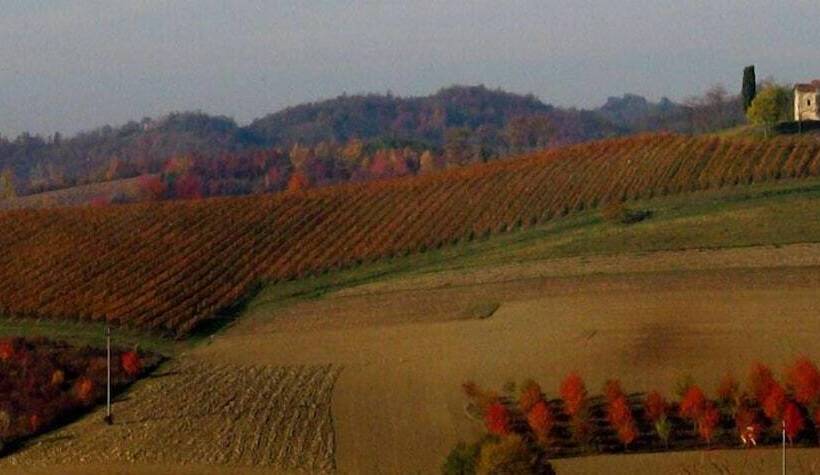 شقة غرفة واحدة, Cannon D Oro