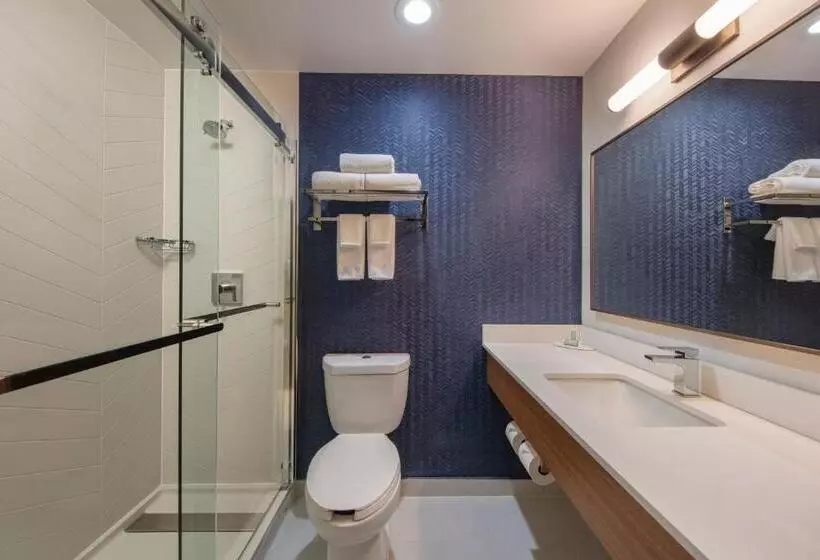 اتاق استاندارد با تخت بزرگ, Fairfield Inn By Marriott Jfk Airport