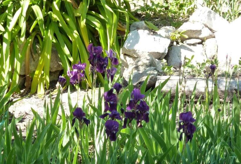 غرفة قياسية مطلّة علي الحديقة, Les Belles Terrasses