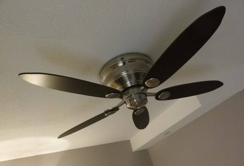 スタンダードルーム, Hôtel Princess