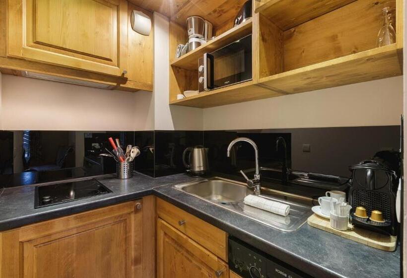 آپارتمان 1 خوابه, Residence And Spa Vallorcine Montblanc