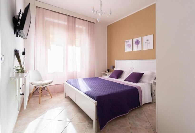 Номер Стандарт, Abbanive