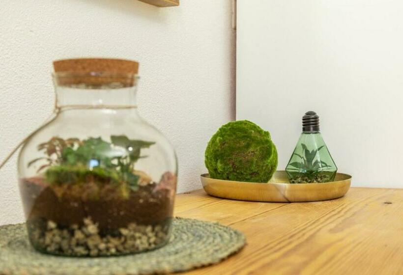 غرفة قياسية مزوَّدة بتراس, B&b Elianto