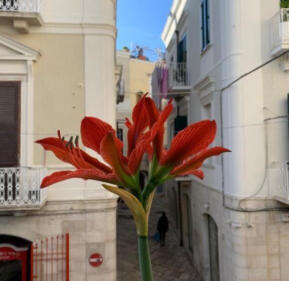 חדר סטנדרט עם מיטת קינג, Le Marinelle Trani B&b