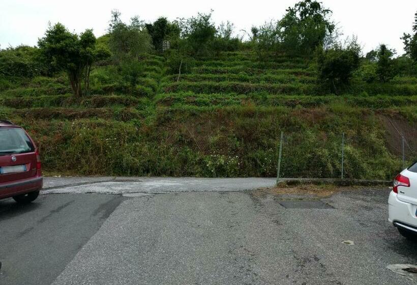 غرفة قياسية, Sally S B&b