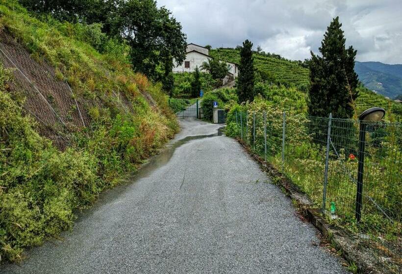 غرفة قياسية, Sally S B&b