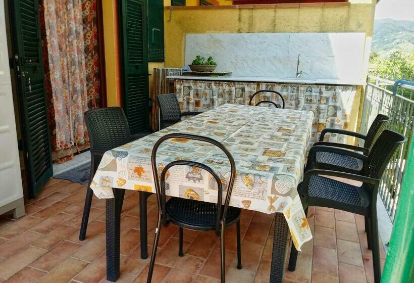 اتاق استاندارد, Sally S B&b