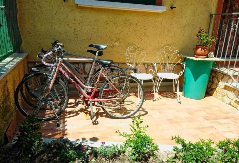 غرفة قياسية ثلاثية, Sally S B&b