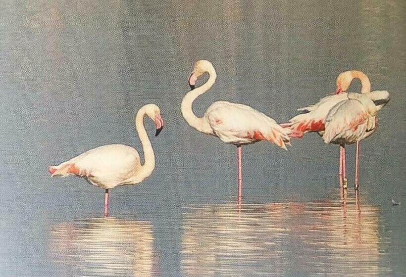 Pokój Standard, Blue Sea Rooms Apartment Cagliari