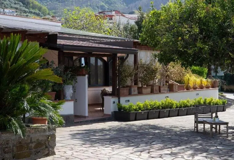 اتاق استاندارد با تخت بزرگ, Villa Bianca