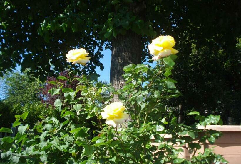 Номер Стандарт Вид на Горы, Casa T Bed And Breakfast & Home Restaurant Di Tacchino Simone