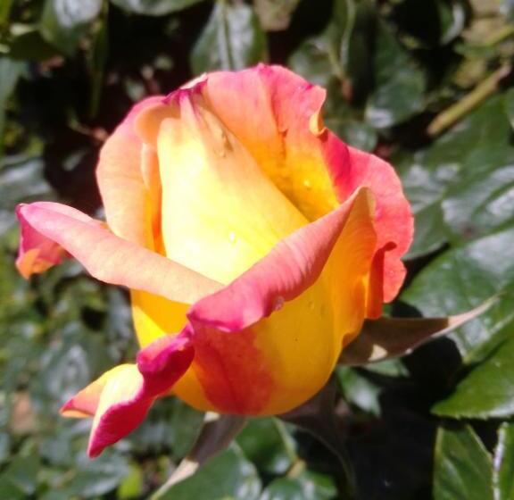 Standard room with outdoor bath, Casa T Bed And Breakfast & Home Restaurant Di Tacchino Simone