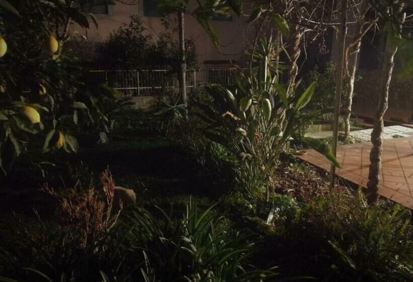 غرفة قياسية, Aloha House