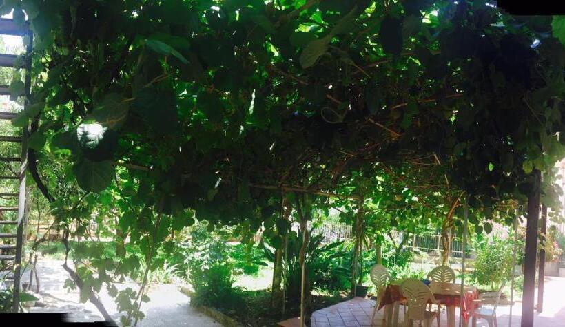 غرفة قياسية, Aloha House