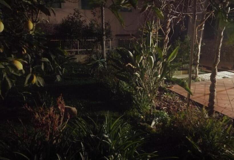 غرفة قياسية مع حمام خارجي, Aloha House