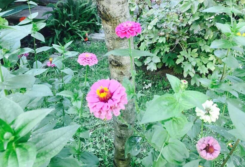 غرفة قياسية مع حمام خارجي, Aloha House