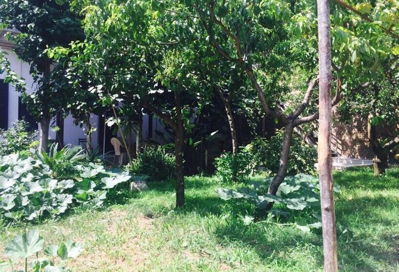 غرفة قياسية مع حمام خارجي, Aloha House