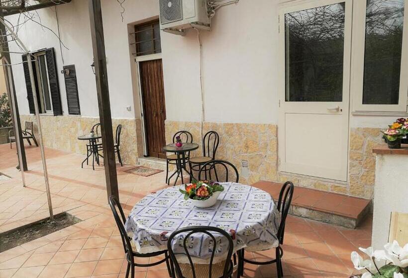 غرفة قياسية مع حمام خارجي, Aloha House