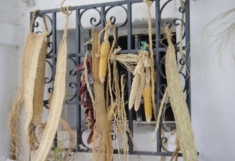 חדר סופריור, Balneario De Alicún De Las Torres