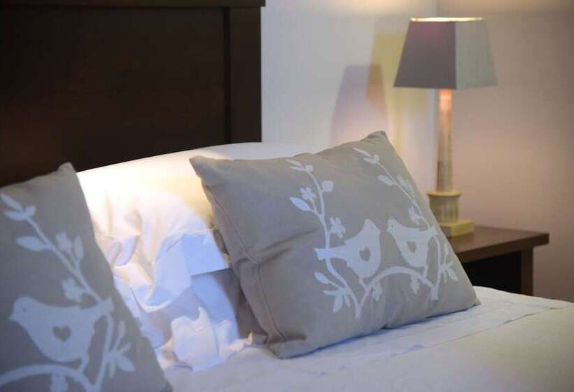 غرفة قياسية, Palazzo Piccolomini