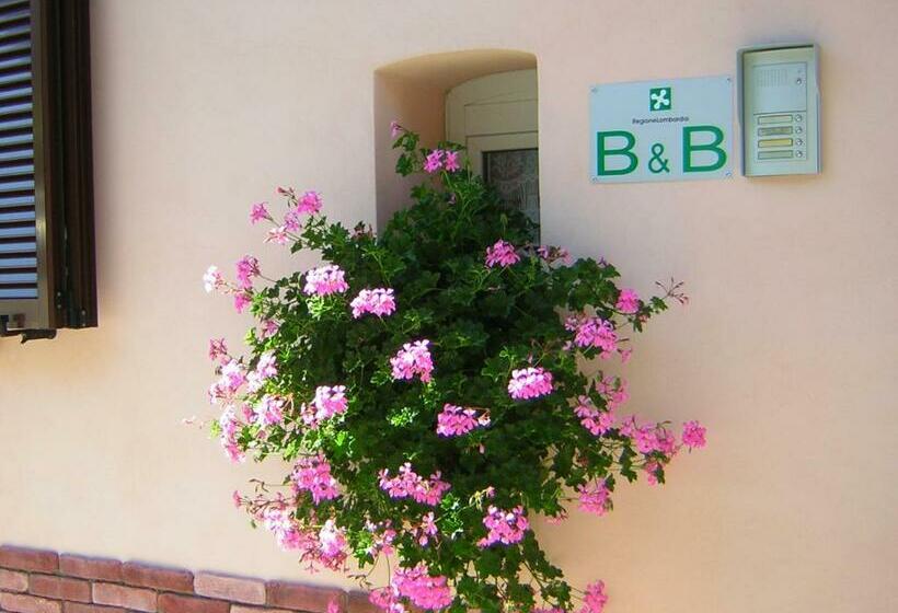 غرفة كومفورت ثلاثية, B&b Da Di