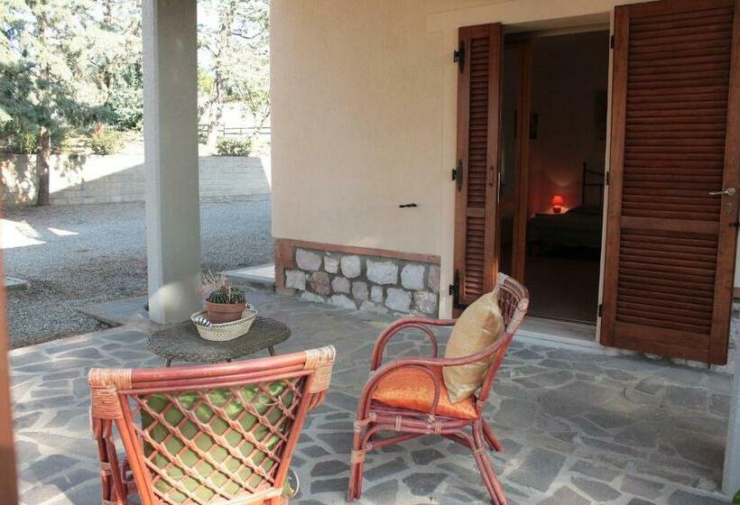 اتاق استاندارد, Il Cantiniere