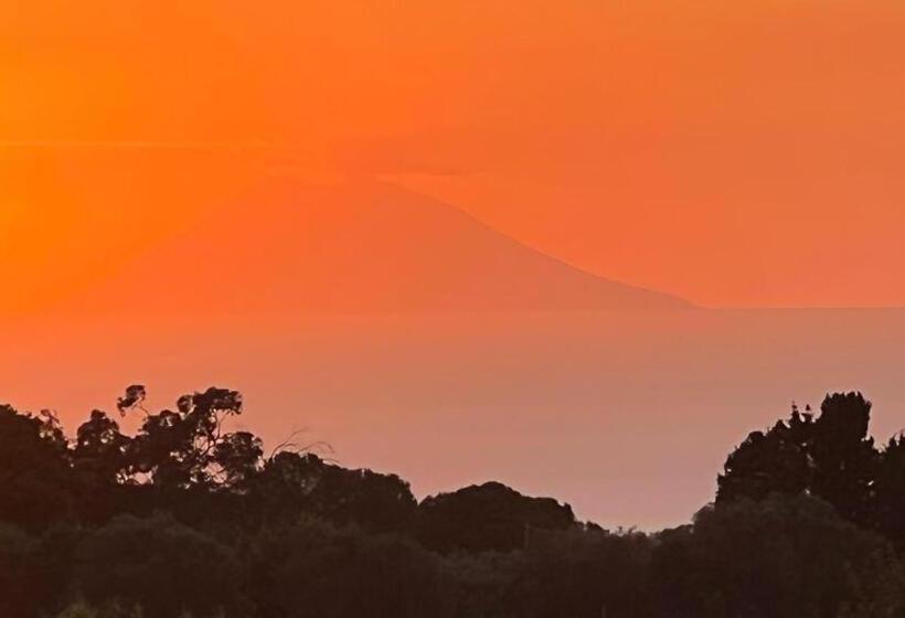 غرفة قياسية مطلّة علي البحر مزوَّدة بشُرفة, B&b Casale Pietrantica Tropea