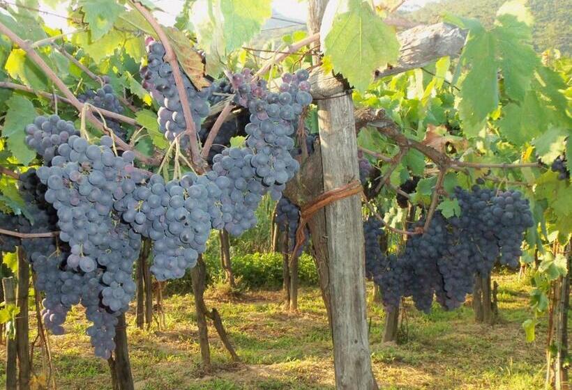 带1个卧室的带阳台的公寓, Agriturismo A Veggia Vigna