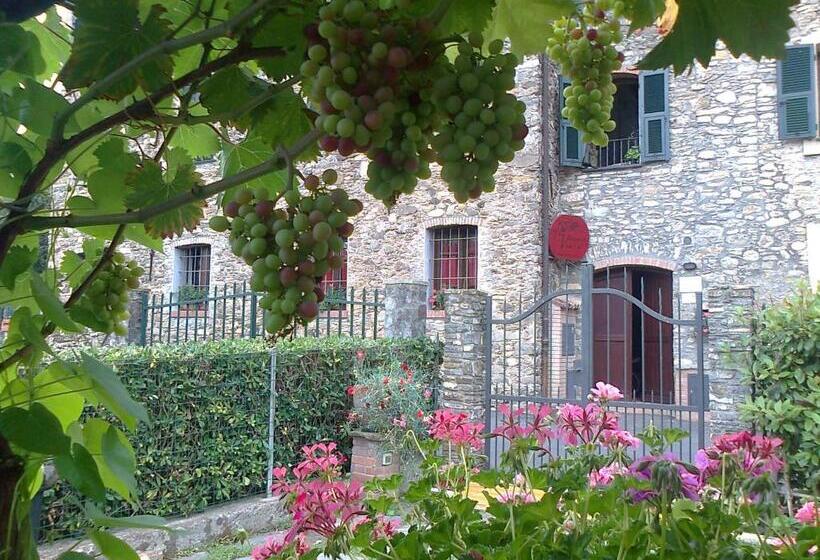 Апартаменты 1 Спальня Вид на Сад, Agriturismo A Veggia Vigna