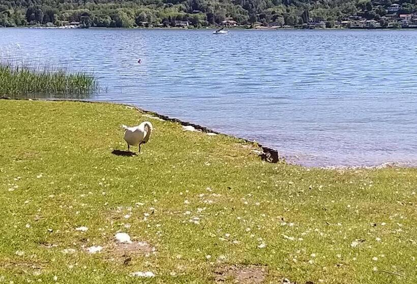 חדר משפחתי, Ritratto Sul Lago