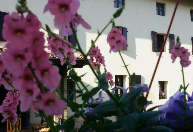 חדר סטנדרט, Fiori Di Maggio