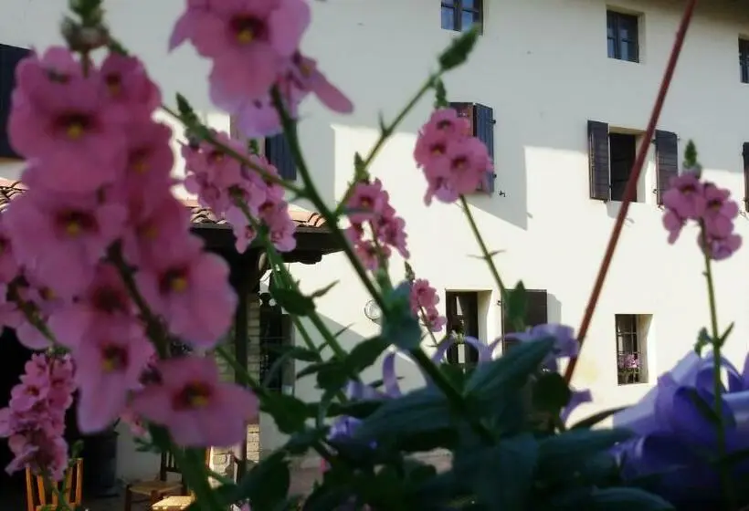 スタンダードルーム, Fiori Di Maggio