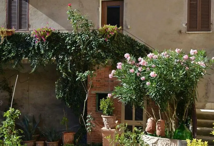 スイート, B&b Freemocco