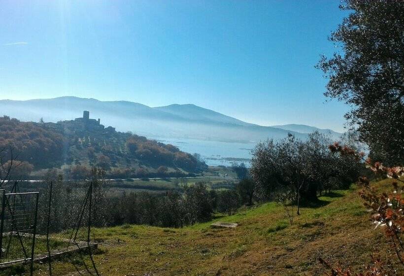 Апартаменты 1 Спальня, Agriturismo Monte Petreto