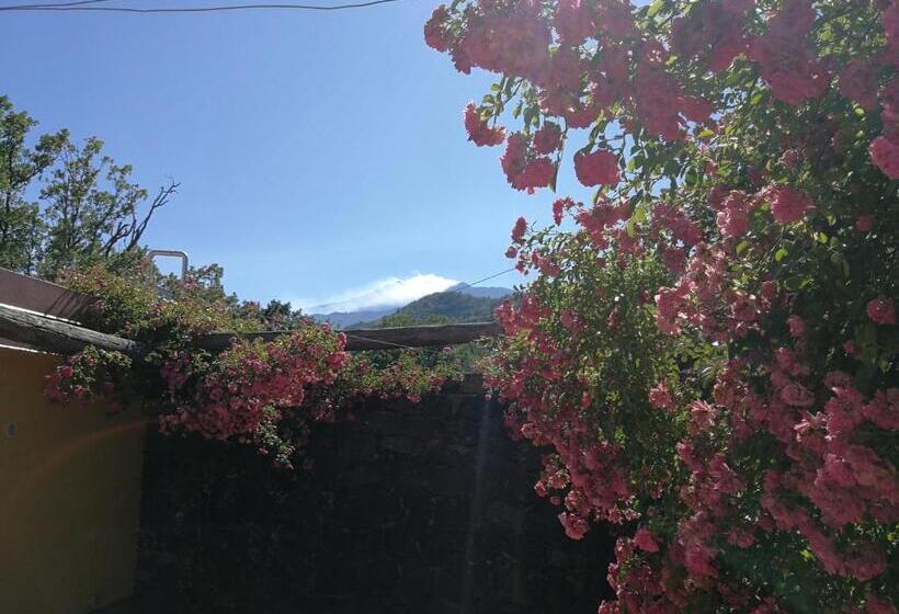 غرفة قياسية سرير كينج, Viola Nel Parco