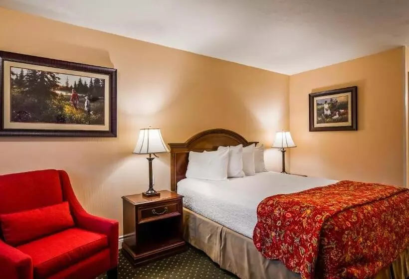 キングサイズベッドのスタンダードルーム, Best Western Country Lane Inn