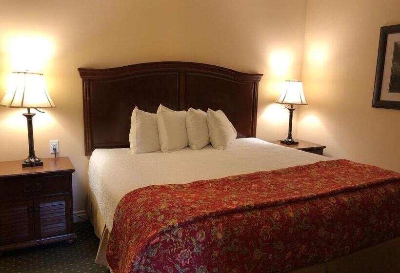 جناح سرير كينج, Best Western Country Lane Inn