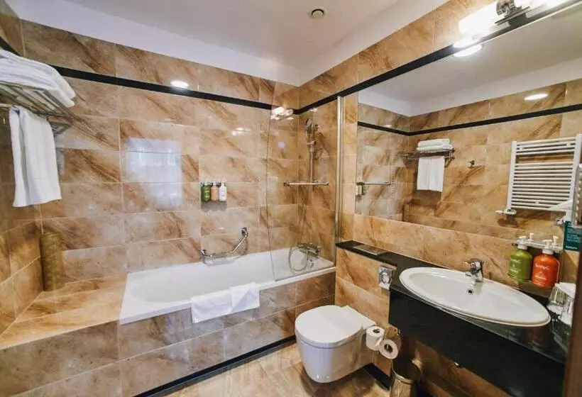 プレミアムルーム, Holiday Inn Krakow City Centre, An Ihg