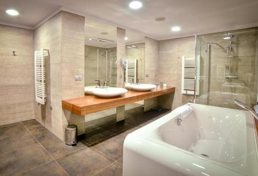 Президентский Люкс, Holiday Inn Krakow City Centre, An Ihg
