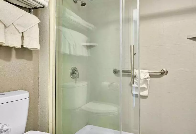 اتاق استاندارد, Quality Hotel & Suites At The Falls