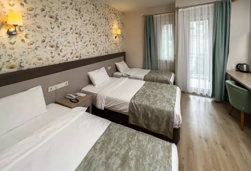Standard Kolmen Hengen Huone, Spa Hotel Colossae Thermal
