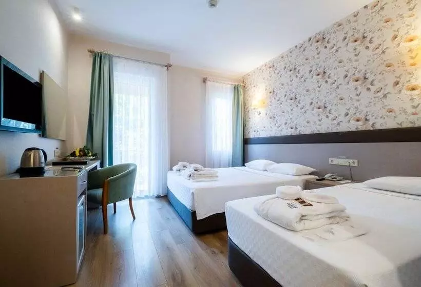 Standard Kolmen Hengen Huone, Spa Hotel Colossae Thermal