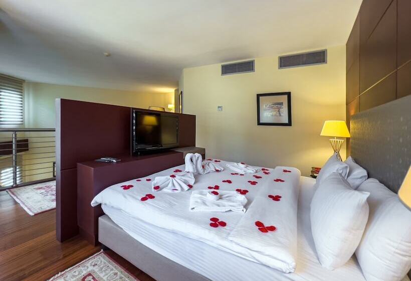 سوئیت پرزیدنت, Spa Hotel Colossae Thermal