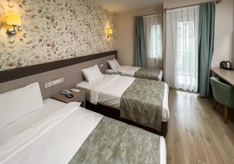 Standard Kolmen Hengen Huone, Spa Hotel Colossae Thermal