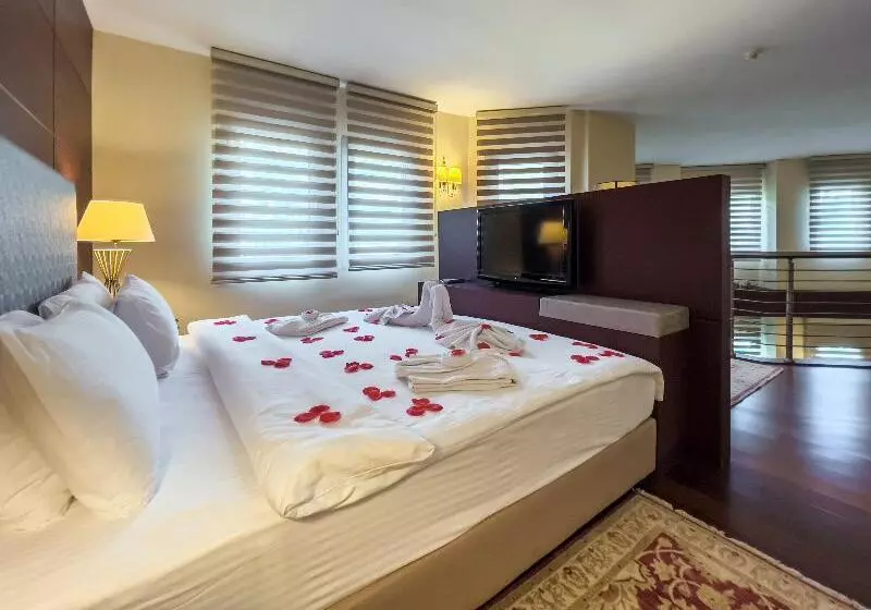 Presidenttisviitti, Spa Hotel Colossae Thermal
