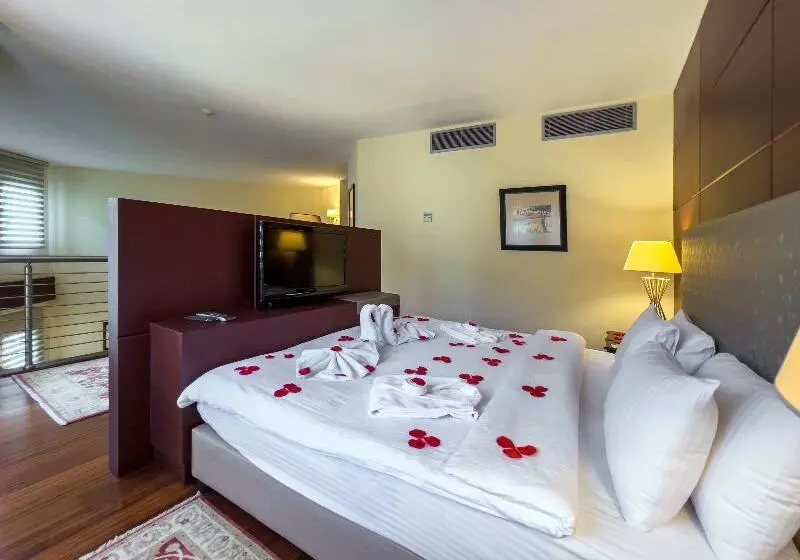 Presidenttisviitti, Spa Hotel Colossae Thermal