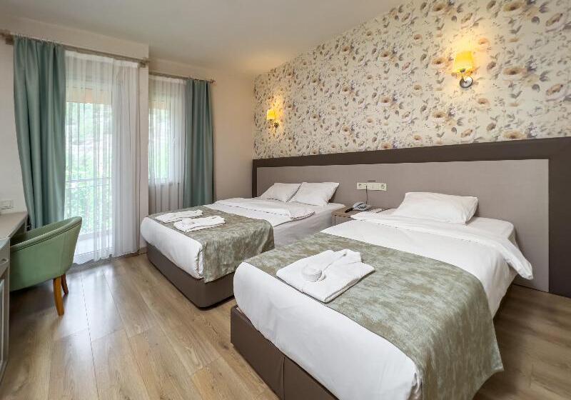 اتاق استاندارد, Spa Hotel Colossae Thermal